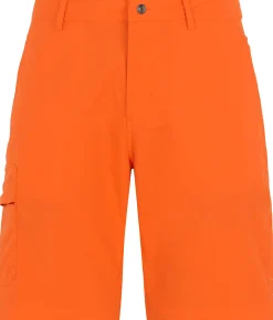 Fashion Dave Shorts Herre Shorts