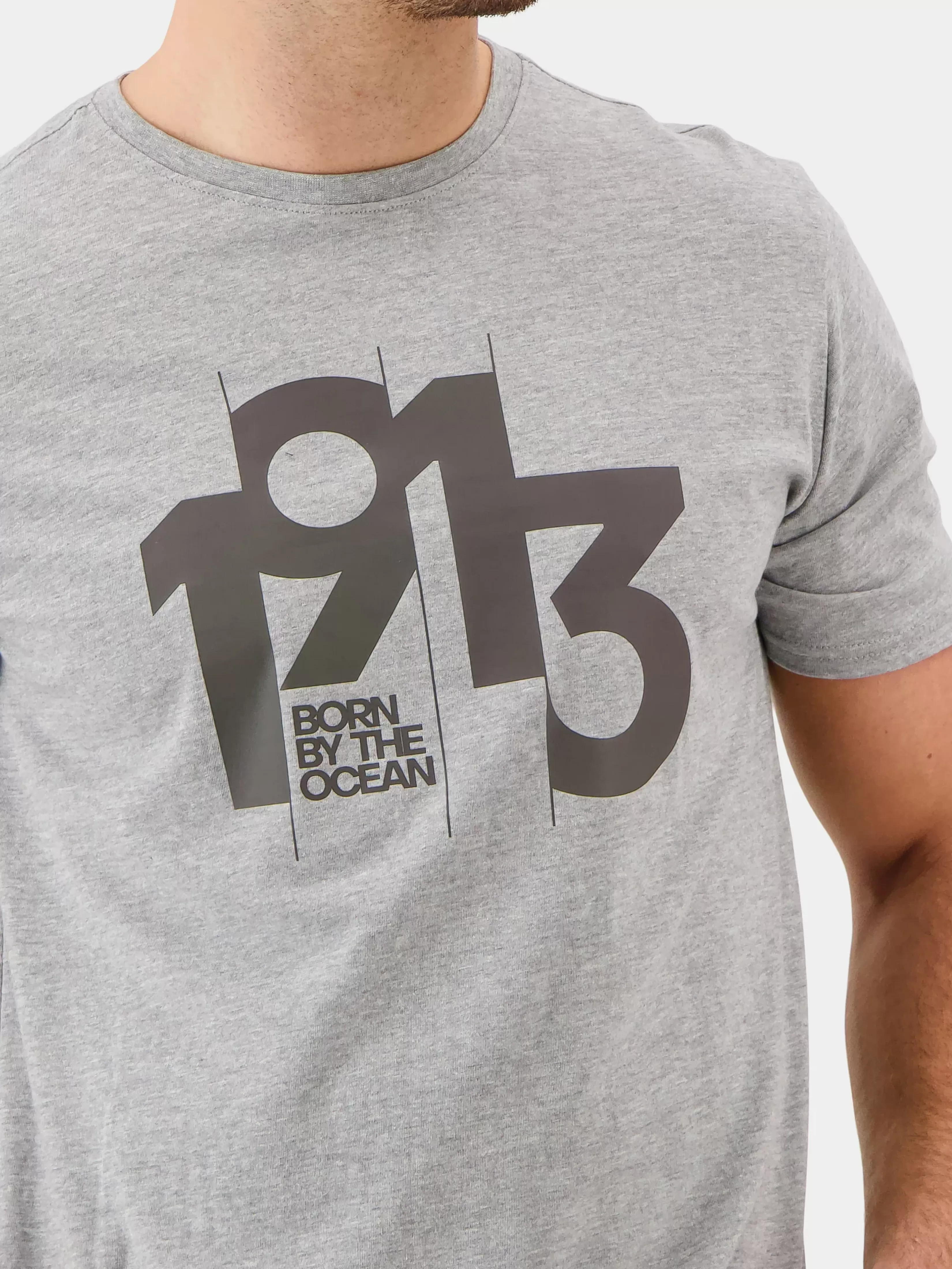 Didriksons Heritage Printed Men's T-Shirt>Herre T-Skjorter Og Pikéer