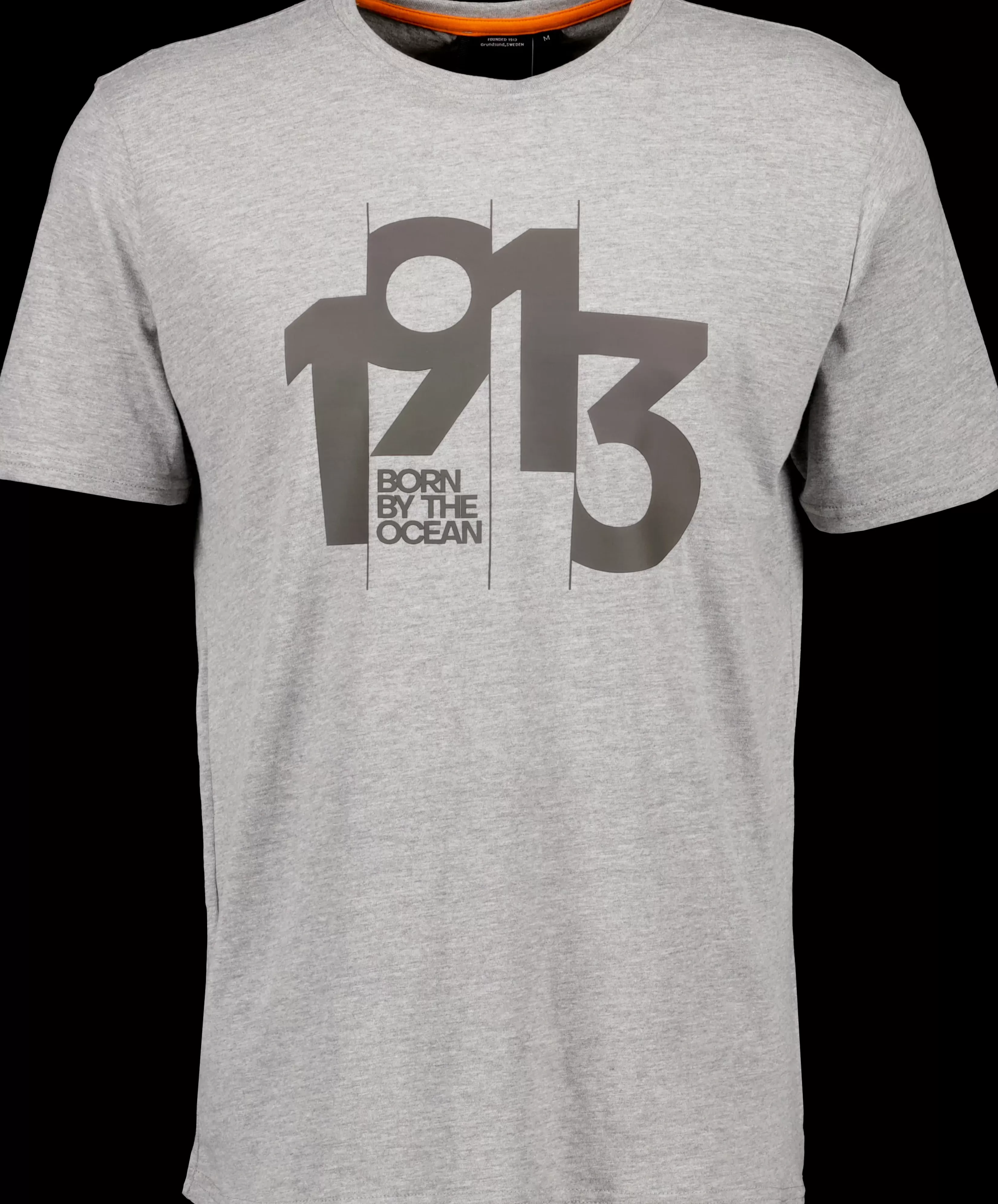 Didriksons Heritage Printed Men's T-Shirt>Herre T-Skjorter Og Pikéer