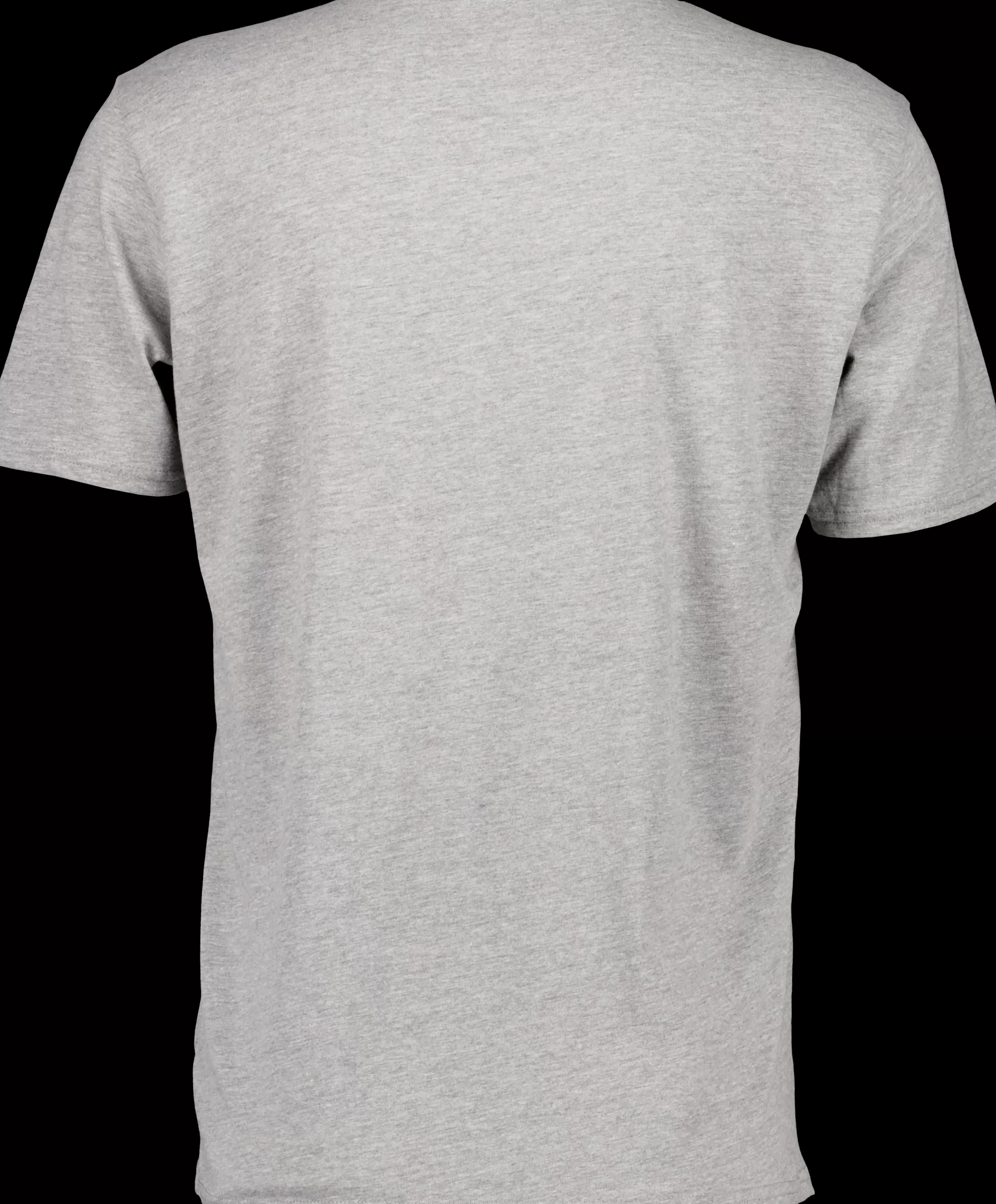 Didriksons Heritage Printed Men's T-Shirt>Herre T-Skjorter Og Pikéer
